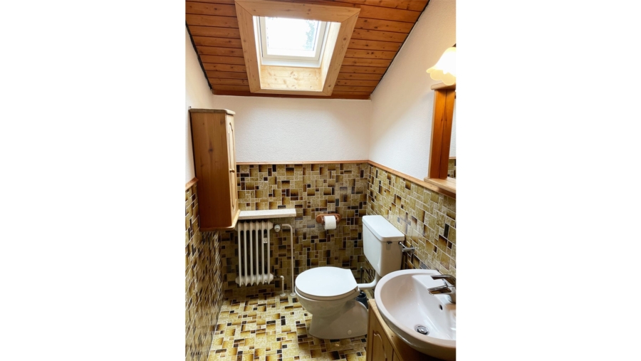 Das Einfamilienhaus der 1.000 Möglichkeiten mit ca. 573 m² Grund und idealer Süd-/Westausrichtung - WC im Dachgeschoss