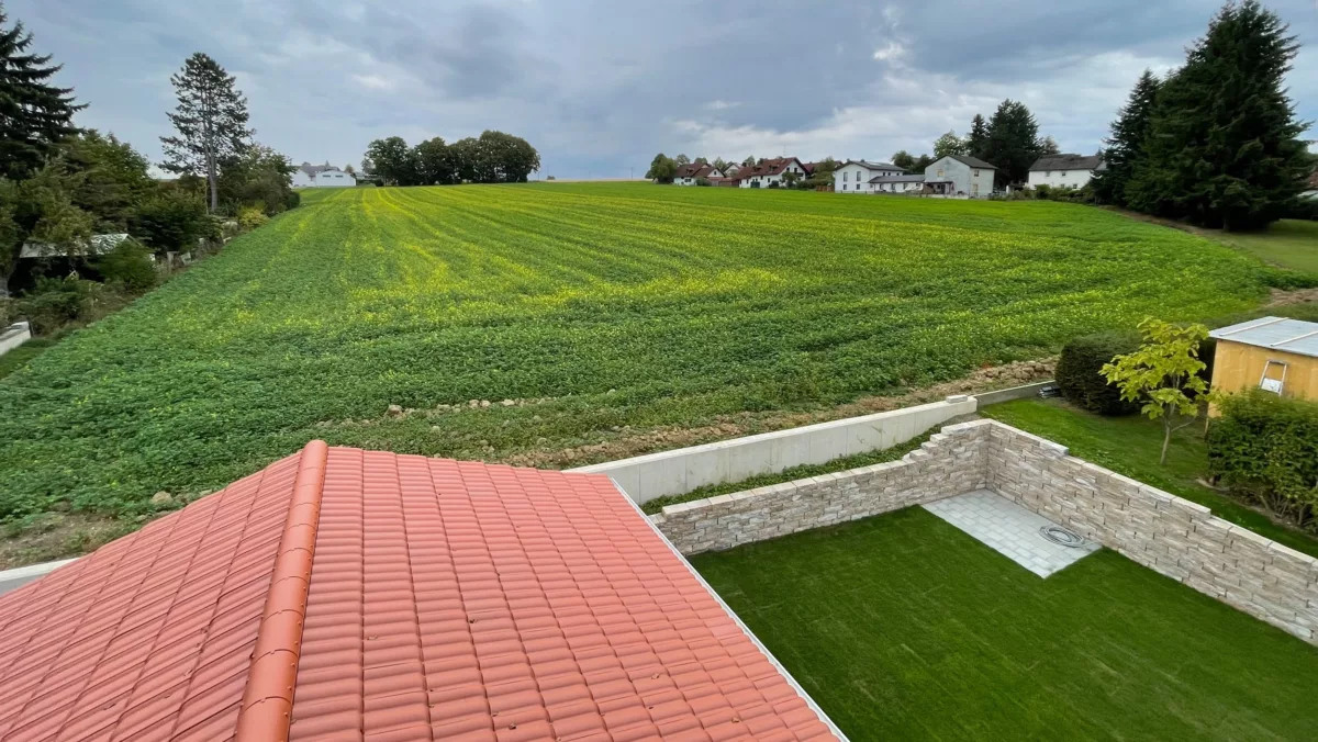 Blick ins Grüne