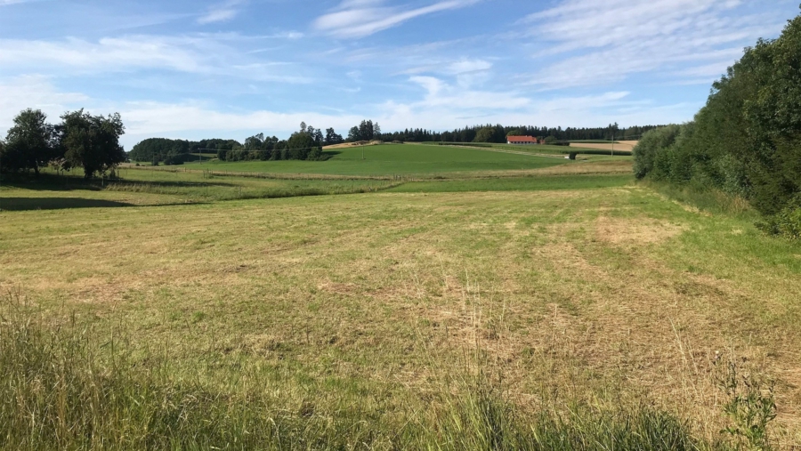 Verwirklichen Sie Ihre Bauträume! Exklusives BG für ein EFH in 84439 Steinkirchen-Hofstarring - Ansicht 1 Grundstück