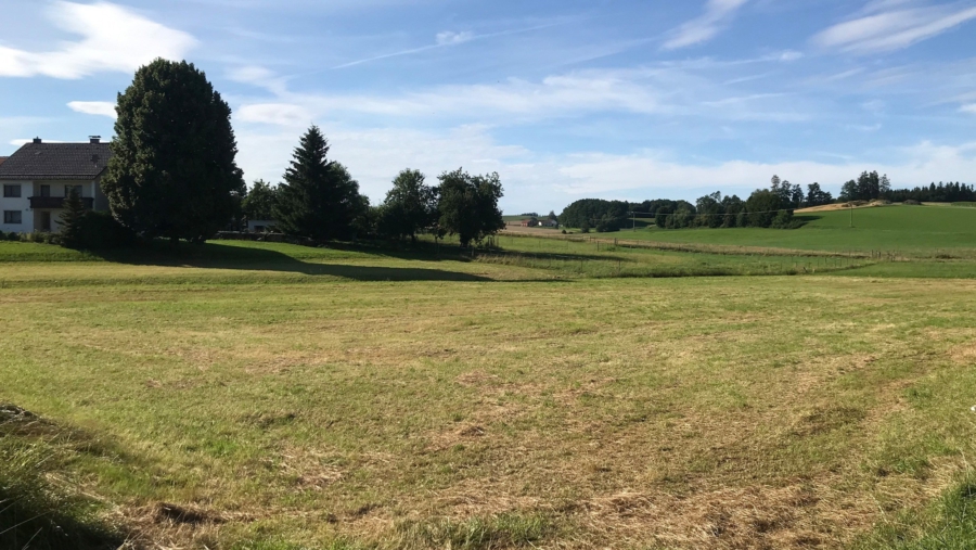 Verwirklichen Sie Ihre Bauträume! Exklusives BG für ein EFH in 84439 Steinkirchen-Hofstarring - Ansicht 2 Grundstück