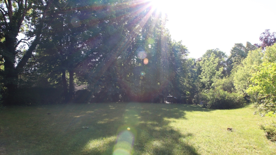 Erbpacht! Lichtdurchflutete 3-Zimmer-Dachterrassenwohnung mit unverbaubarem Blick ins Grüne - Gemeinschaftsgarten