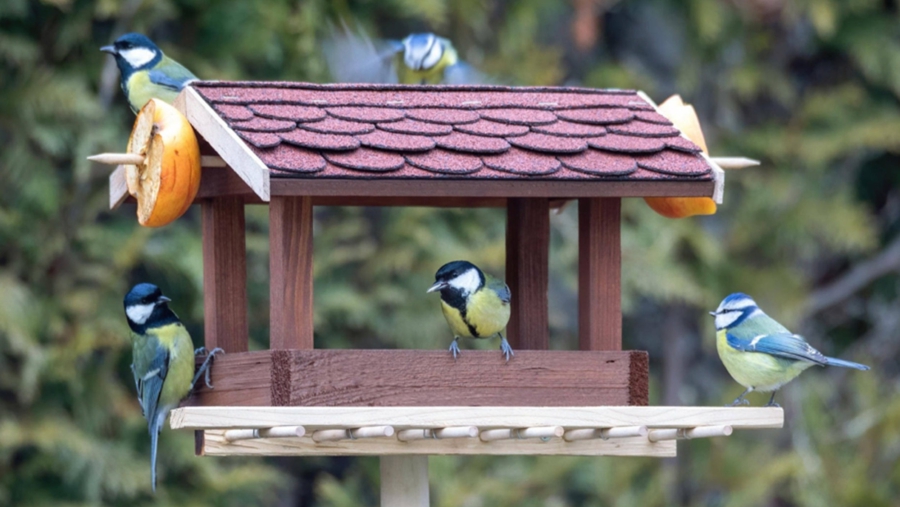 Ruhig gelegenes Baugrundstück im Grünen für Ihr Einfamilienhaus in Goldach / Hallbergmoos - Baugrundstück im Grünen